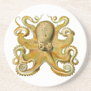 Octopus antique illustration sea monster underlägg