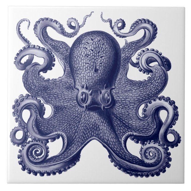 Octopus Blue & White Kakelplatta (Framsidan)