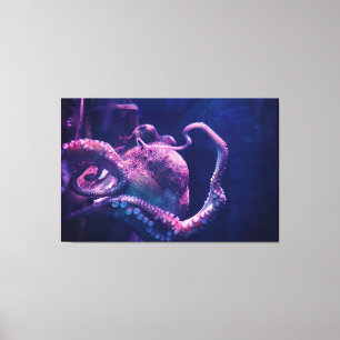Octopus Canvastryck