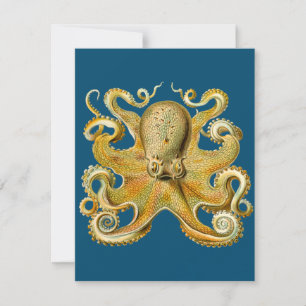 Octopus - Ernst Haeckels Kort