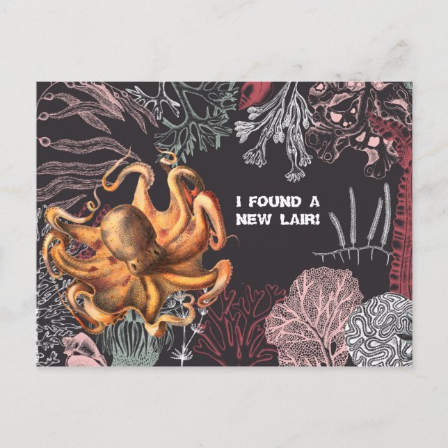 Octopus Garden Byte av Adress Vykort (Framsida)