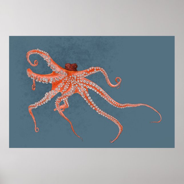 Octopus Hugs Poster (Framsidan)