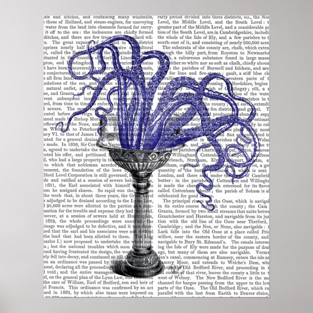 Octopus i Sink Poster (Framsidan)