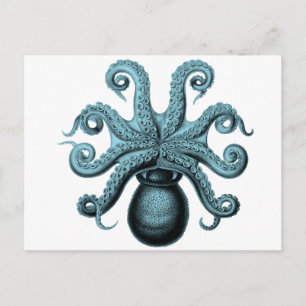 Octopus i Teal Vykort