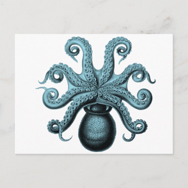 Octopus i Teal Vykort (Framsida)