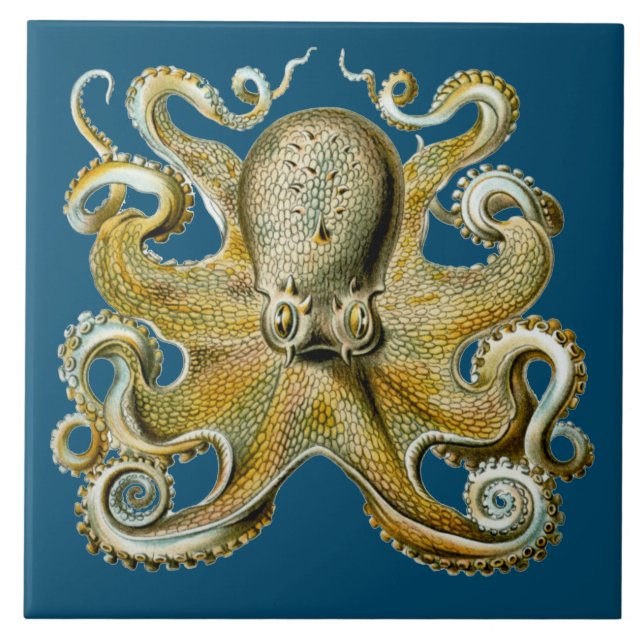 Octopus Kakelplatta (Framsidan)