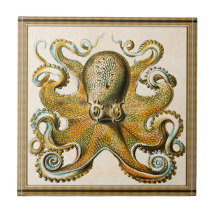 Octopus Kakelplatta