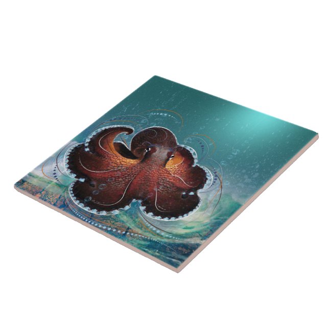 OCTOPUS - keramiskt plattor Kakelplatta (Sidan)