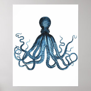 Octopus kraken Havets havsstrand vid havskusten Poster