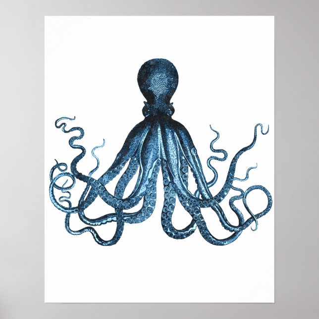 Octopus kraken Havets havsstrand vid havskusten Poster (Framsidan)