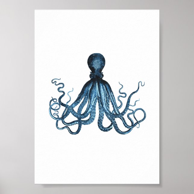 Octopus kraken, havsfärgsfärg vid havskusten poster (Framsidan)