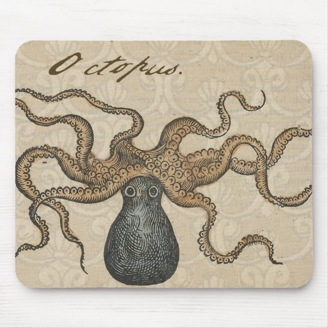 Octopus Kraken Vintage Illustration Musmatta (Framsidan)