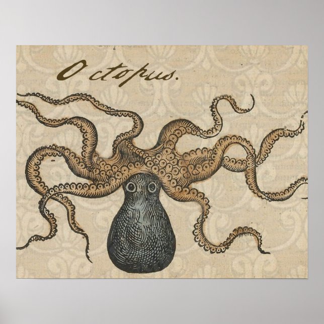 Octopus Kraken Vintage Illustration Poster (Framsidan)