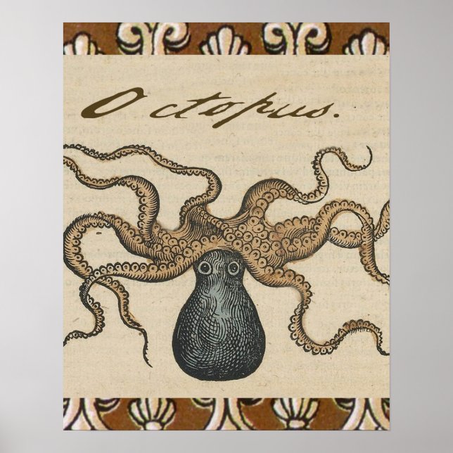 Octopus Kraken Vintage Illustration Poster (Framsidan)