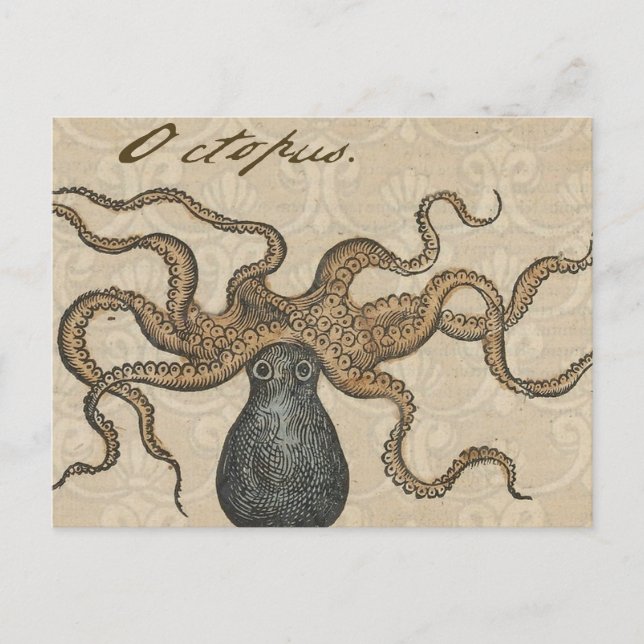 Octopus Kraken Vintage Illustration Vykort (Framsida)