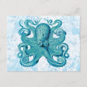 Octopus Marine Life Ocean Animals Beach Life Vykort