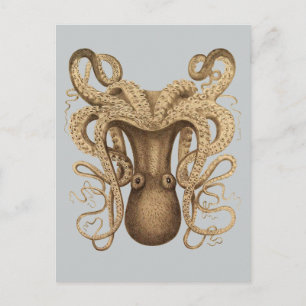 Octopus Marmoratus (blått) Vykort