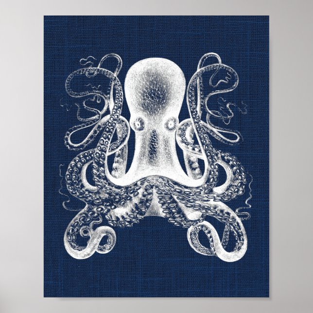 Octopus Nautius Skriv ut Poster (Framsidan)