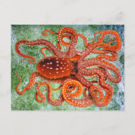 Octopus Oceans Vintage Vykort