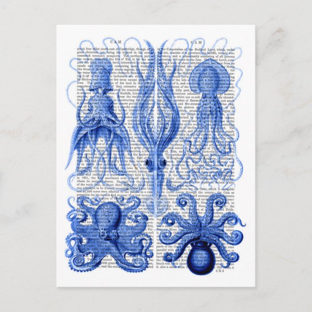 Octopus och bläckblått vykort (Framsida)
