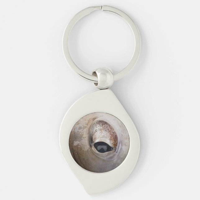 Octopus Öga Swirl Silverfärgad Nyckelring (Framsidan)