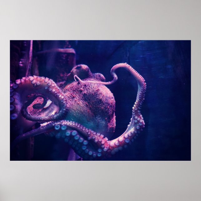 Octopus Poster (Framsidan)