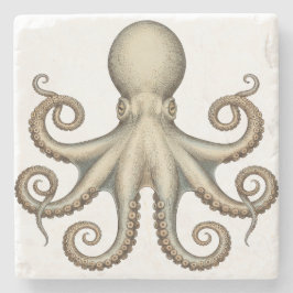 Octopus scientific diagram unique artwork retro  stenunderlägg
