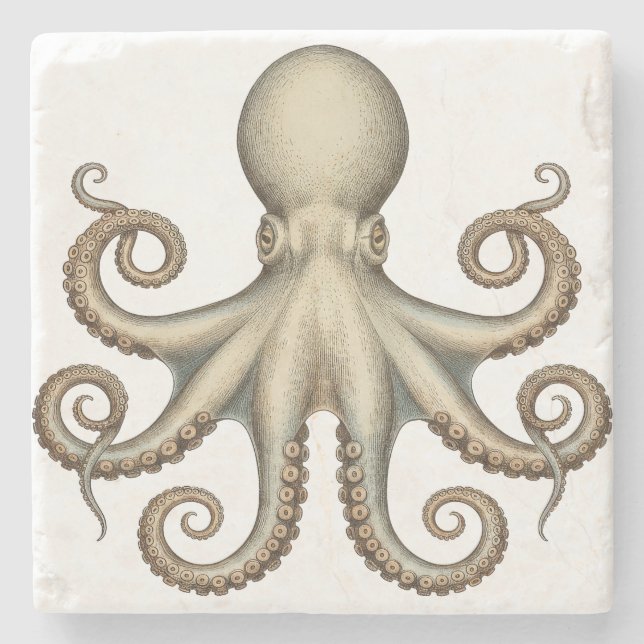 Octopus scientific diagram unique artwork retro  stenunderlägg (Framsidan)