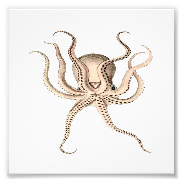 Octopus Sea, Beach, Nautical Bathroom Fototryck (Framsidan)