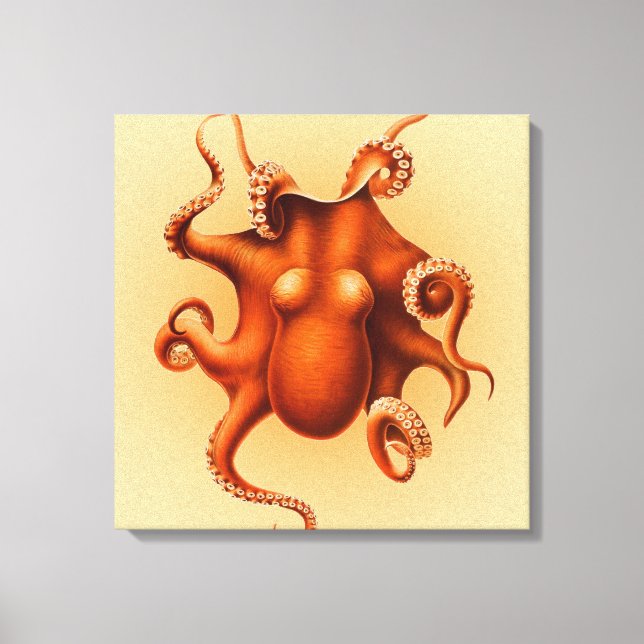 Octopus Sea Monster Creature Cephalapod Vintage Canvastryck (Framsida)