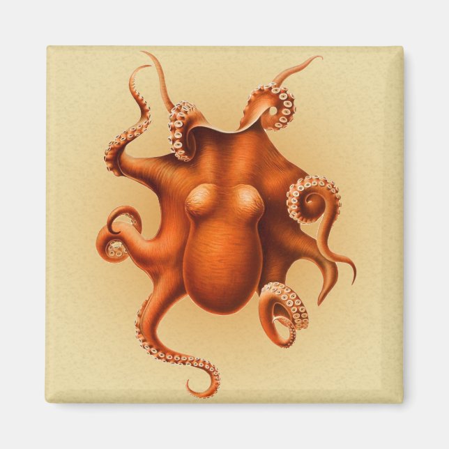 Octopus Sea Monster Creature Cephalapod Vintage Magnet (Framsidan)