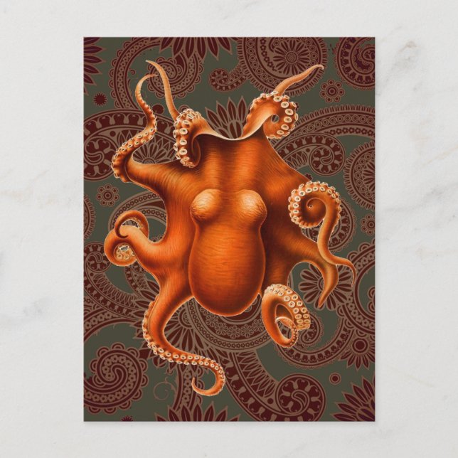 Octopus Sea Monster Creature Cephalapod Vintage Vykort (Framsida)