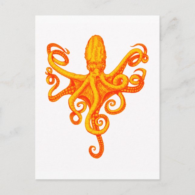 OCTOPUS SHINES VYKORT (Framsida)