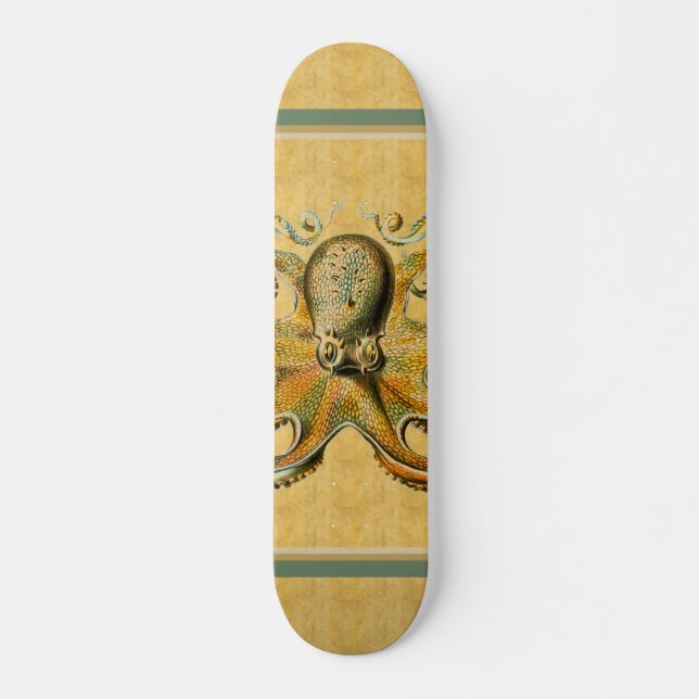 Octopus Skateboard (Framsida)