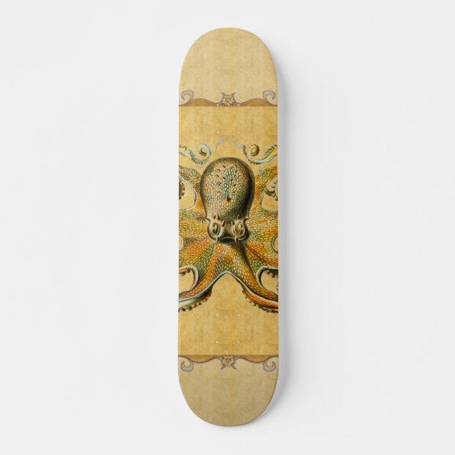 Octopus Skateboard (Framsida)
