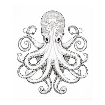 Octopus sketch doodle art.