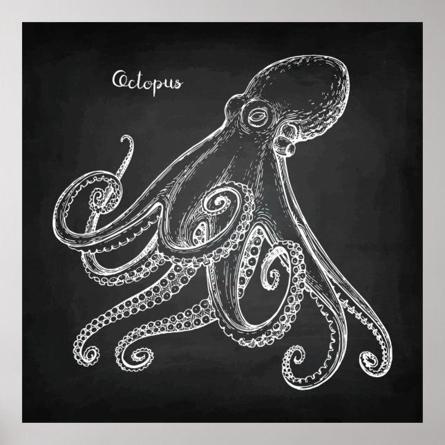 Octopus Sketch Poster (Framsidan)