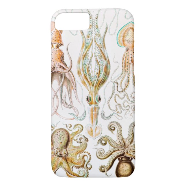 Octopus Squid, Gamochonia av Ernst Haeckel Case-Mate iPhone Skal (Baksida)