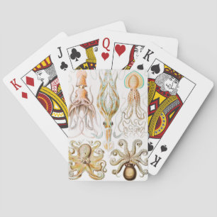 Octopus Squid, Gamochonia av Ernst Haeckel Casinokort