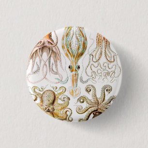 Octopus Squid, Gamochonia av Ernst Haeckel Knapp
