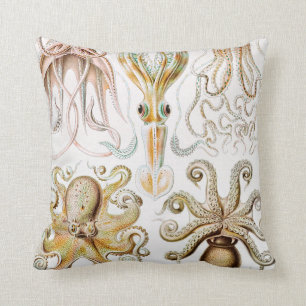 Octopus Squid, Gamochonia av Ernst Haeckel Kudde