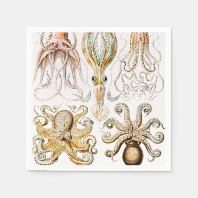 Octopus Squid, Gamochonia av Ernst Haeckel Pappersservett (Framsidan)