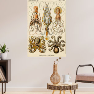 Octopus Squid Gamochonia av Ernst Haeckel Poster