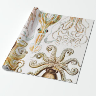 Octopus Squid, Gamochonia av Ernst Haeckel Presentpapper