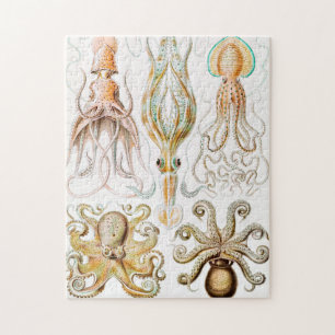 Octopus Squid, Gamochonia av Ernst Haeckel Pussel