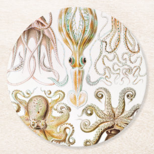 Octopus Squid, Gamochonia av Ernst Haeckel Underlägg Papper Rund