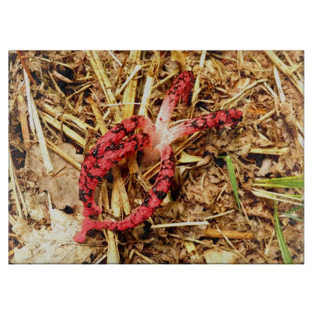 Octopus Stinkhorn Glass Chopping Board (Framsidan)