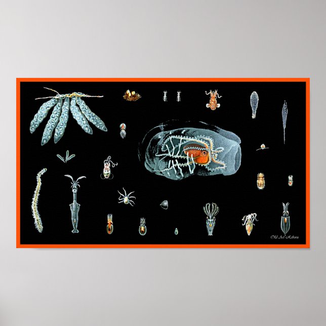 Octopus- studie poster (Framsidan)