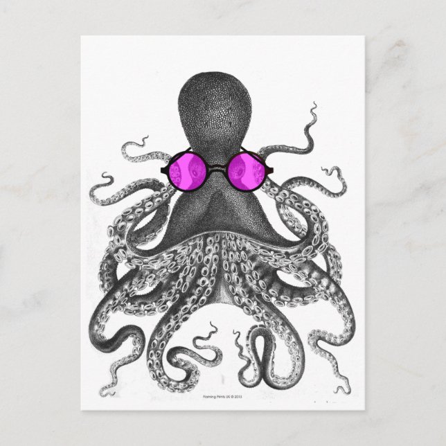 Octopus Sunglass Curiosity Vykort (Framsida)