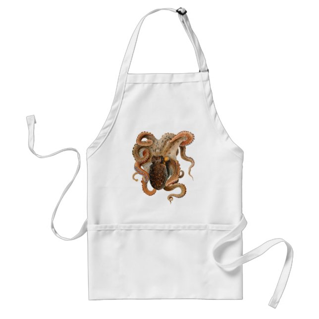 Octopus Vulgaris, Gamla Marina Djur Förkläde (Framsidan)